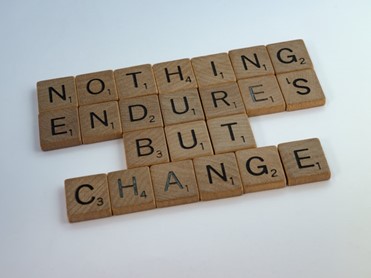 Business Model Adaptation: How Do I Change?